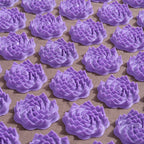 Violet Astra Prana Wellness Bundle
