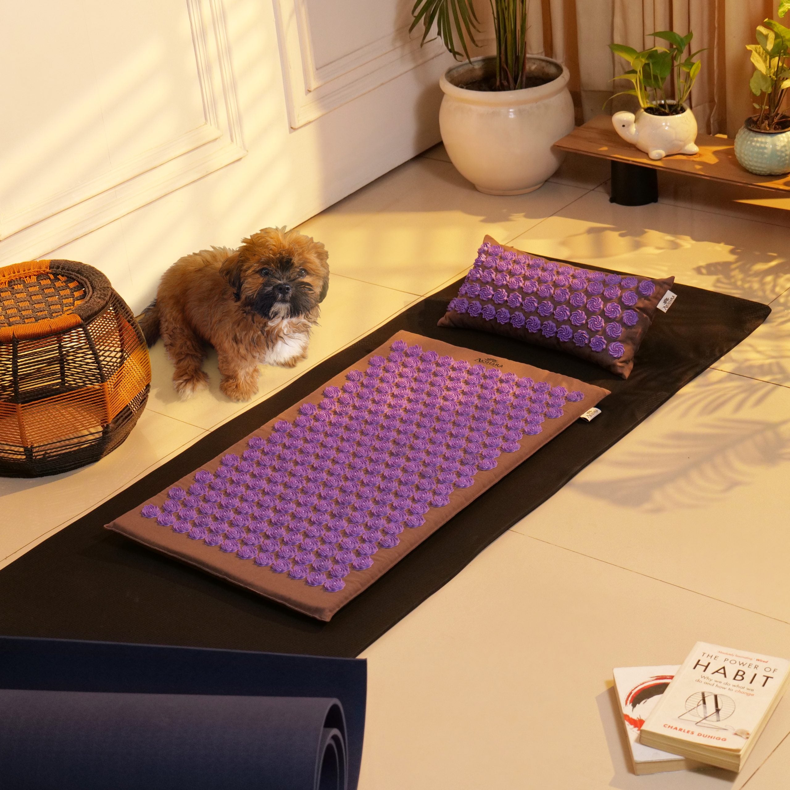 Violet Astra Prana Wellness Bundle