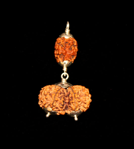 Capricorn (Makara) Combination
