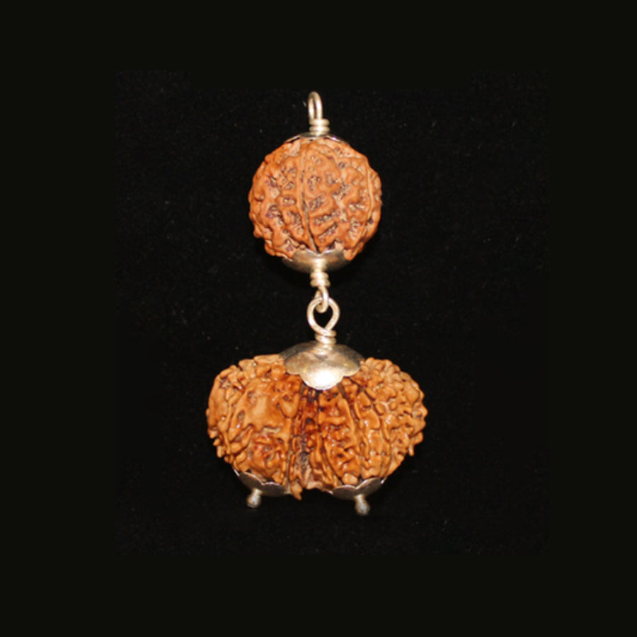 Pisces -Meena February 19 – March 20