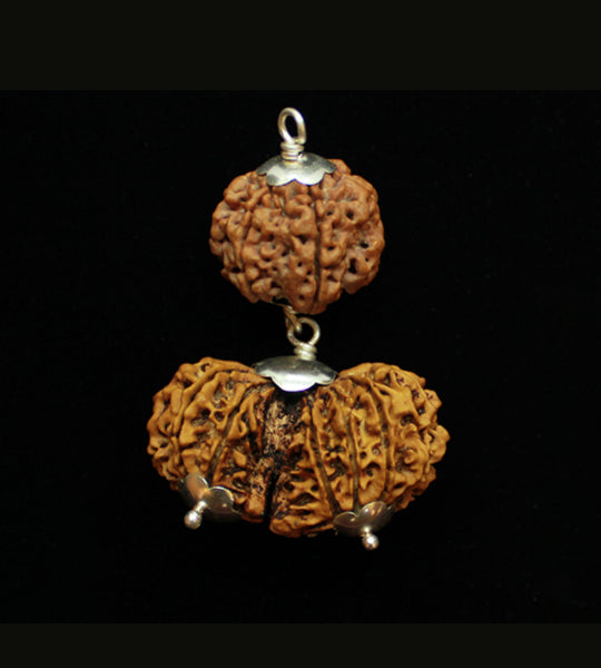 Virgo (Kanya) Combination